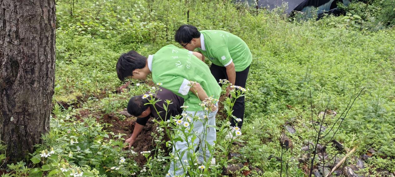 Image_1763707977845 Image_1763707977845