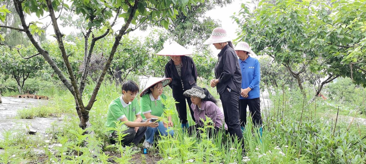 Image_1763708024972 Image_1763708024972